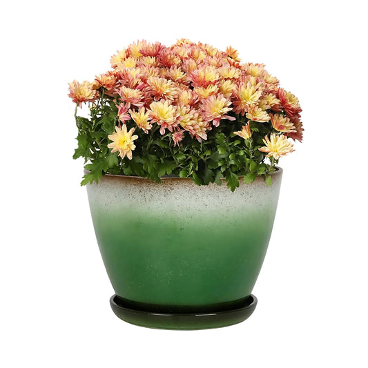 Worth Garden Plastic Round Plant Pots Multicolor Flower Planter Set